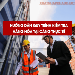 Hướng Dẫn Quy Trình Kiểm Tra Hàng Hóa Tại Cảng Thực Tế